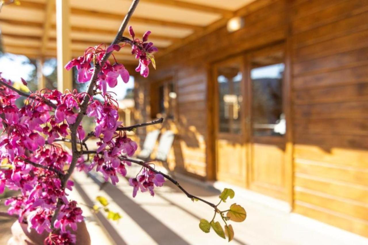 Agrelia Homes Dragano Εξωτερικό φωτογραφία
